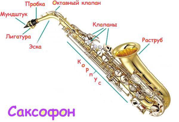 Урок саксофона №1: Подготовка саксофона к игре